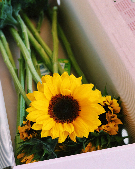 Limited Seasonal Box: Sunflowers